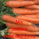 Mrkev obecná Mix: Nantaise 2, Rotin, Lange rote stumpfe ohne Herz 2