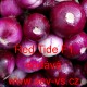 Cibule jarní kuchyňská hybridní Red Tide F1