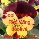 Maceška zahradní převislá Cool Wave F1 Red Wing