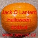 Tykev obecná Jack Ó Lantern Halloween