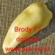 Paprika roční zeleninová hybridní Brody F1