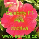 Petúnie mnohokvětá Celebrity F1 Pink