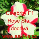 Petúnie mnohokvětá Celebrity F1 Rose Star