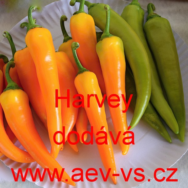AEVVS Paprika roční zeleninová pálivá Harvey