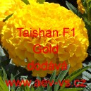 Aksamitník vzpřímený Taishan F1 Gold