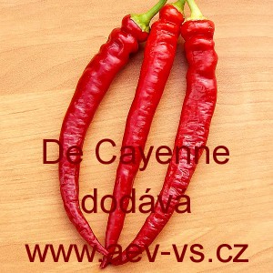 Paprika roční pálivá De Cayenne