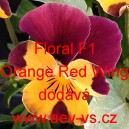 Violka ostruhatá Floral F1 Orange Red Wing
