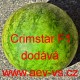 Meloun vodní hybridní Crimstar F1