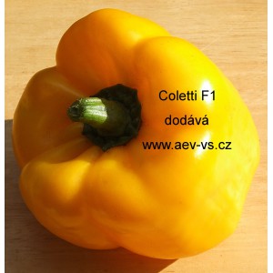 Paprika roční zeleninová hybridní Coletti F1 