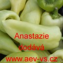 Paprika roční zeleninová Anastazie
