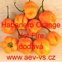 Paprika pálivá aji čilí Habanero Orange Hot Fire