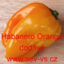 Paprika pálivá čilí Habanero Orange