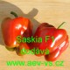 Paprika roční zeleninová hybridní Saskia F1