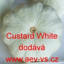 Patizon (Tykev obecná) Custard White