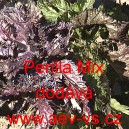 Perila křovit&aacute; Perilla Mix
