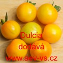 Rajče keříčkové Dulcia