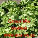 Salát hlávkový ozimý Green Mix