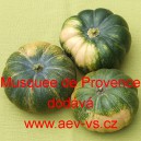 Tykev pižmová muškátová Musquee de Provence