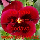 Maceška zahradní Červená s okem