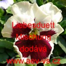 Maceška zahradní Liebesduett Mischung