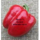 Paprika roční zeleninová hybridní Yecla F1